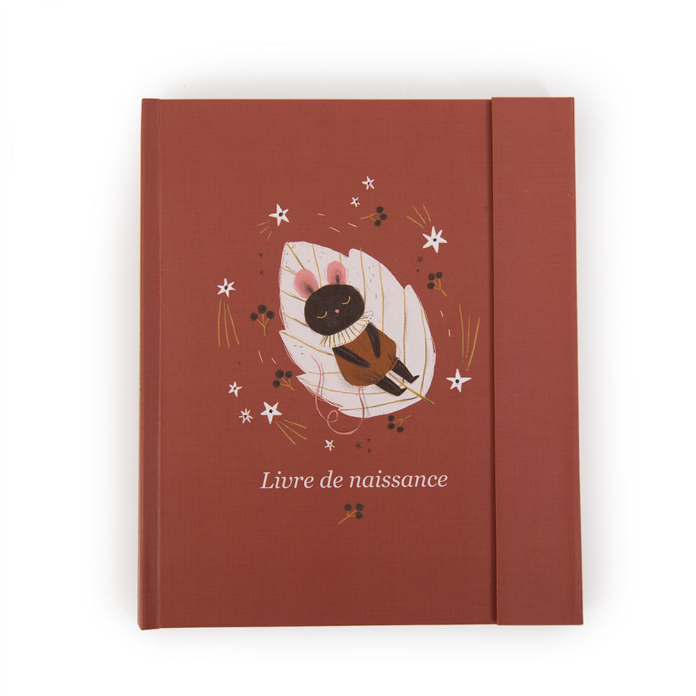 Album Do Bebe Apres La Pluie Moulin Roty Bup Baby Bupbaby
